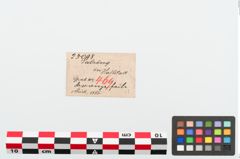 Etikett zu Bronzeraspel (NHMW-PRAE-025098)